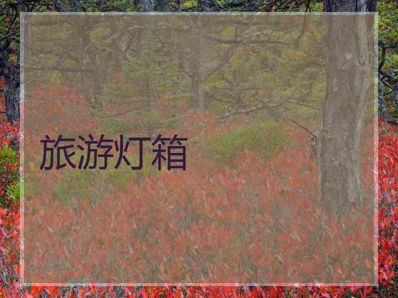 旅游灯箱 旅游灯箱