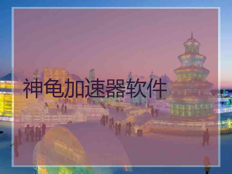 神龟加速器软件 神龟加速器软件