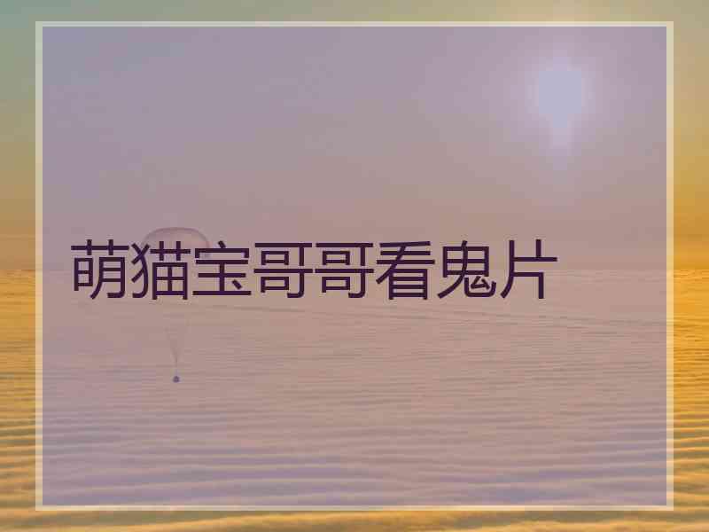 萌猫宝哥哥看鬼片 萌猫宝哥哥看鬼片