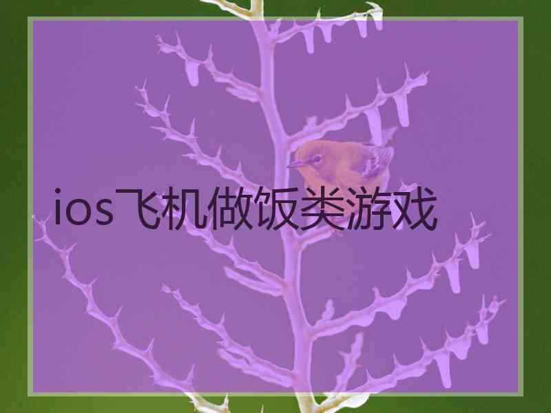 ios飞机做饭类游戏 ios飞机做饭类游戏