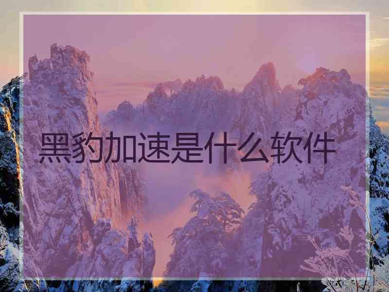 黑豹加速是什么软件 黑豹加速是什么软件