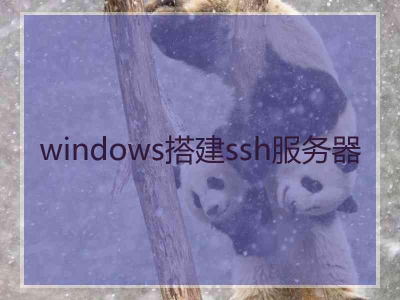 windows搭建ssh服务器 windows搭建ssh服务器