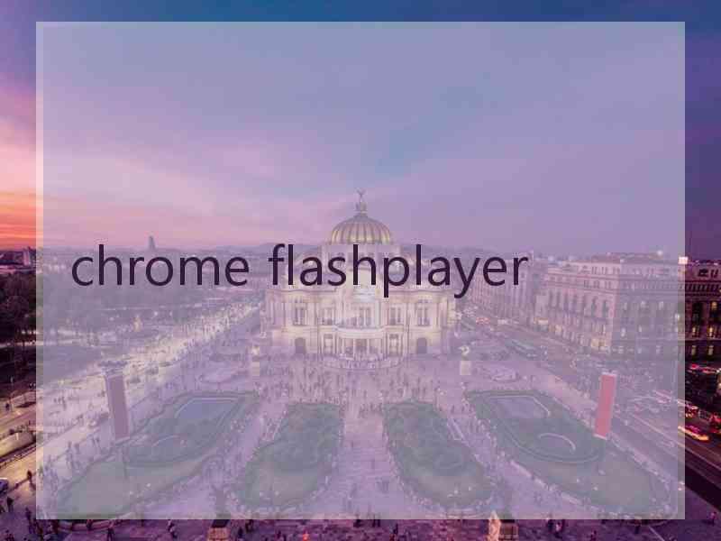 chrome flashplayer chrome flashplayer