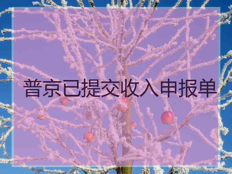 普京已提交收入申报单 普京已提交收入申报单