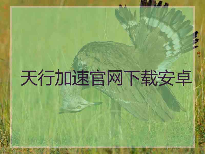天行加速官网下载安卓 天行加速官网下载安卓