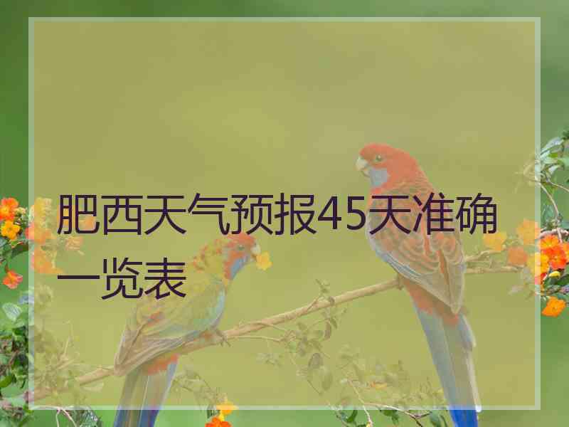 肥西天气预报45天准确一览表 肥西天气预报45天准确一览表