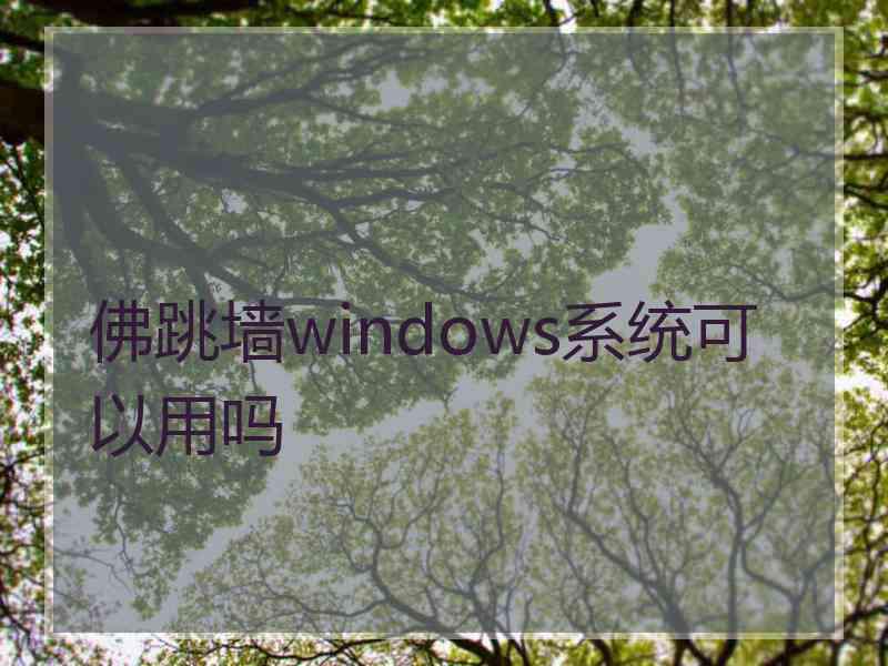 佛跳墙windows系统可以用吗 佛跳墙windows系统可以用吗
