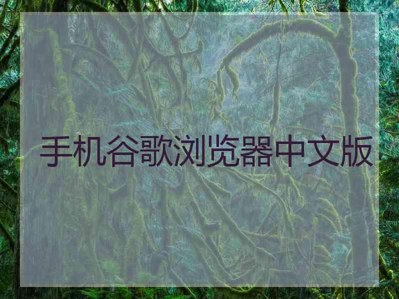 手机谷歌浏览器中文版 手机谷歌浏览器中文版