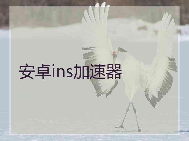 安卓ins加速器 安卓ins加速器