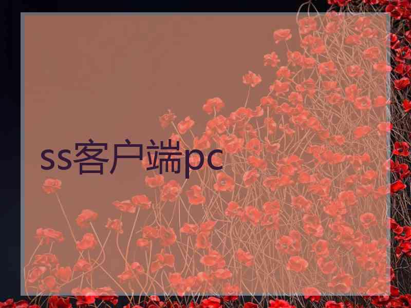 ss客户端pc ss客户端pc
