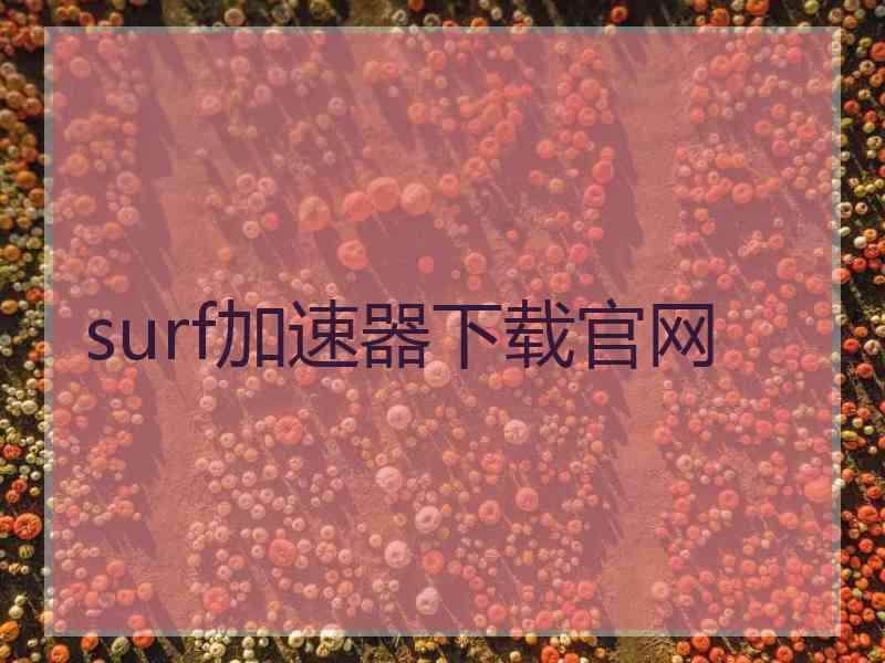 surf加速器下载官网 surf加速器下载官网