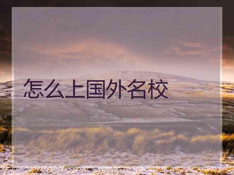 怎么上国外名校 怎么上国外名校