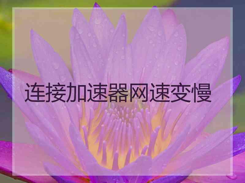 连接加速器网速变慢 连接加速器网速变慢