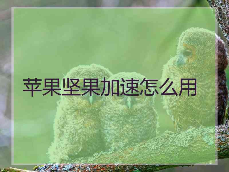 苹果坚果加速怎么用 苹果坚果加速怎么用