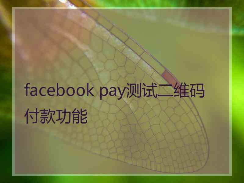facebook pay测试二维码付款功能