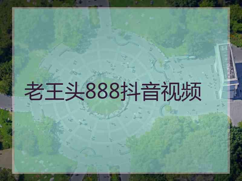 老王头888抖音视频