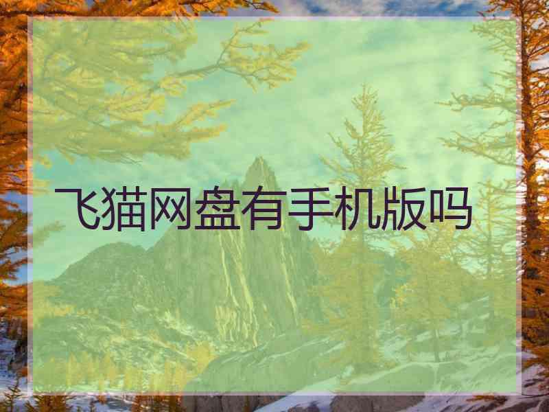 飞猫网盘有手机版吗