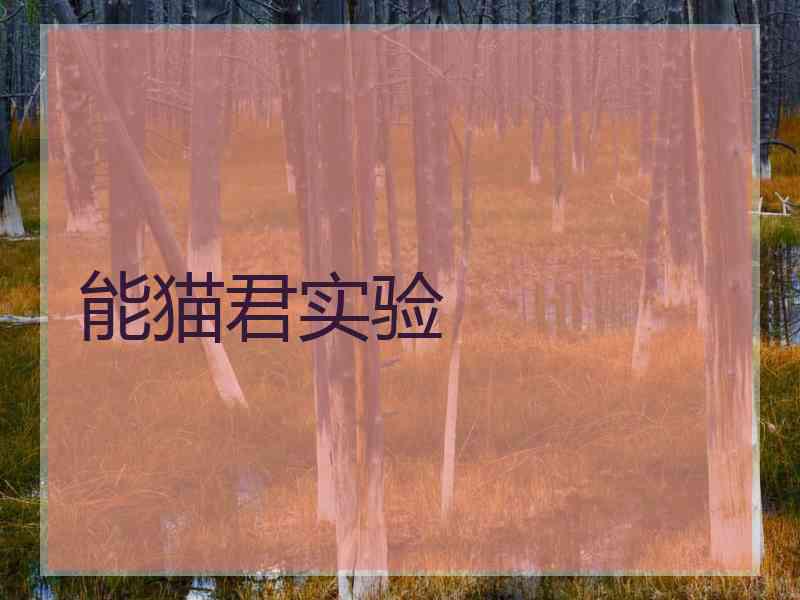 能猫君实验