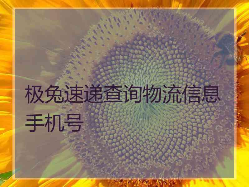 极兔速递查询物流信息手机号