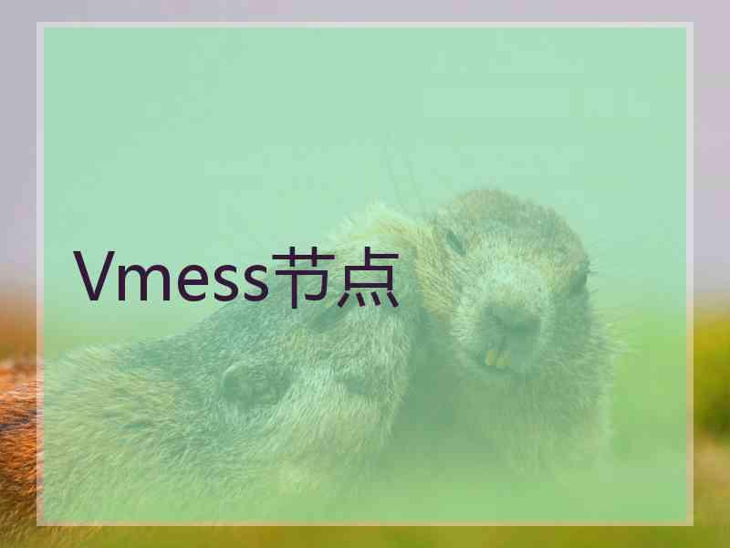 Vmess节点