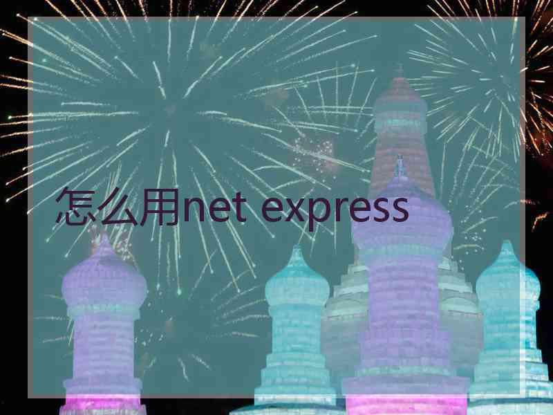 怎么用net express
