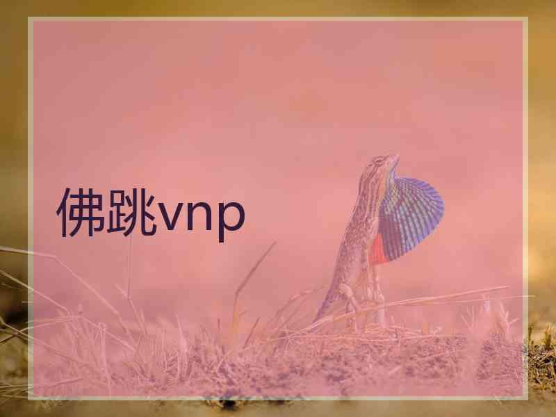 佛跳vnp