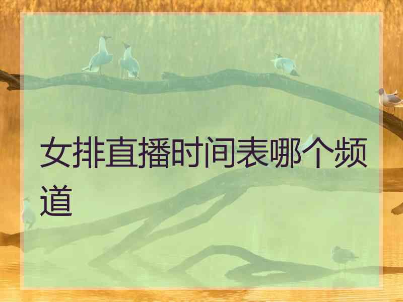 女排直播时间表哪个频道