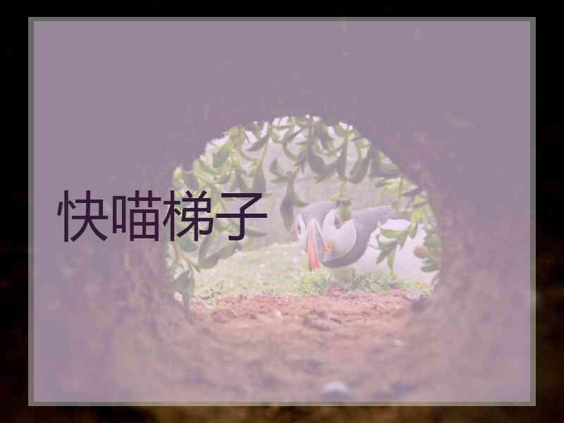 快喵梯子