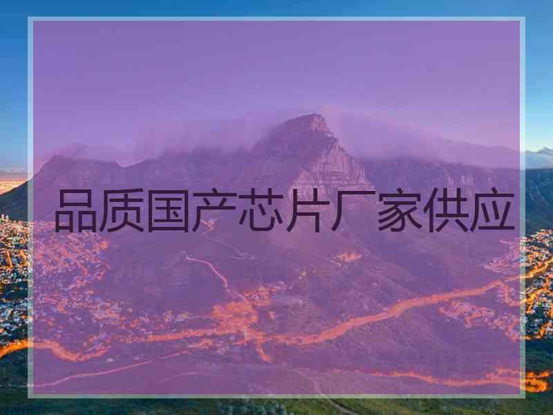 品质国产芯片厂家供应