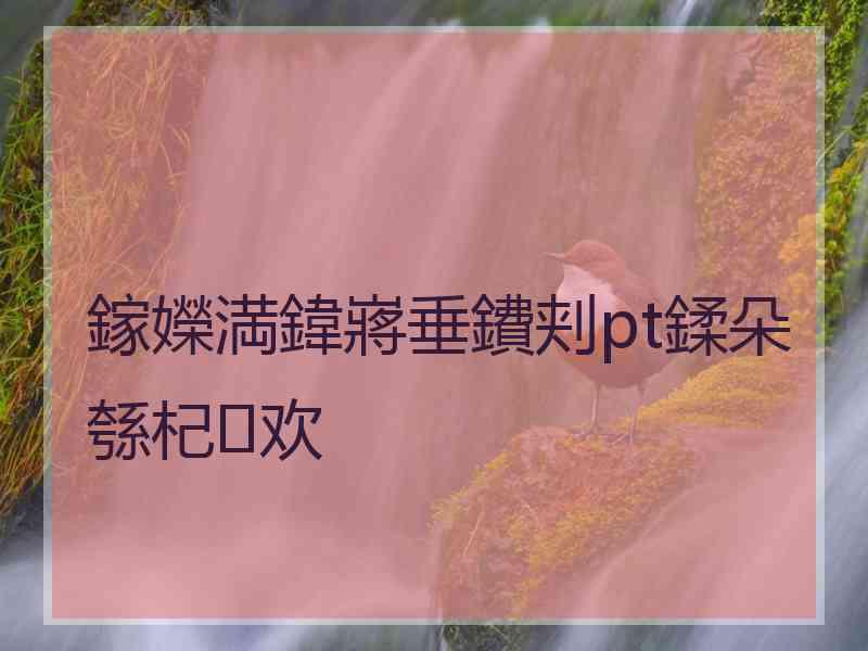 鎵嬫満鍏嶈垂鐨刾pt鍒朵綔杞欢