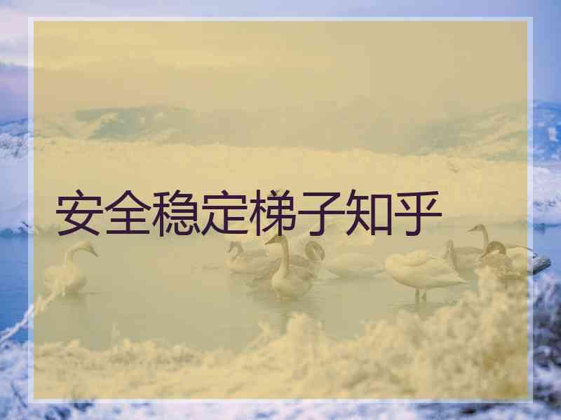 安全稳定梯子知乎