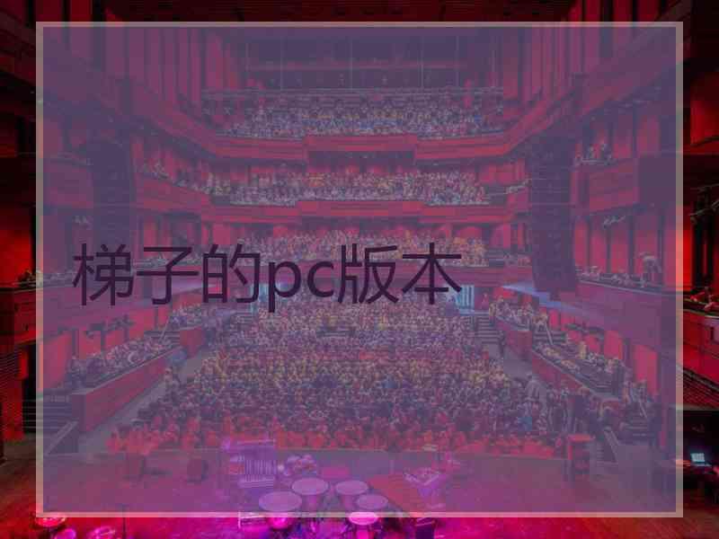 梯子的pc版本