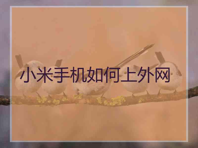 小米手机如何上外网