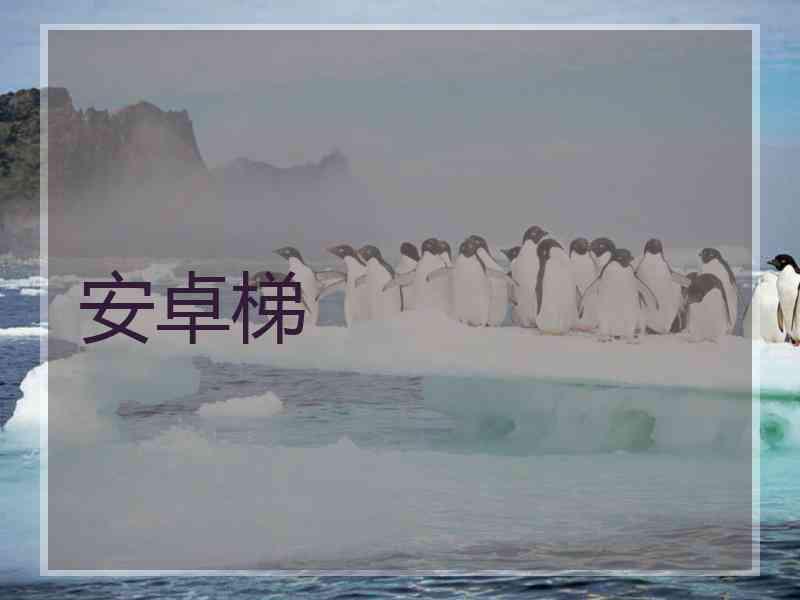 安卓梯