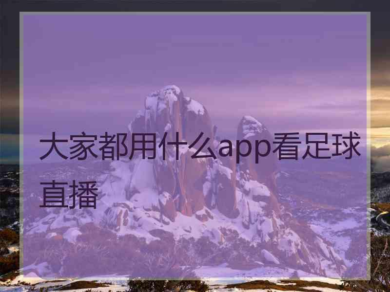 大家都用什么app看足球直播