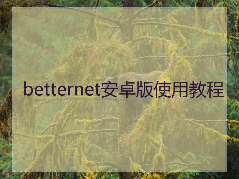 betternet安卓版使用教程