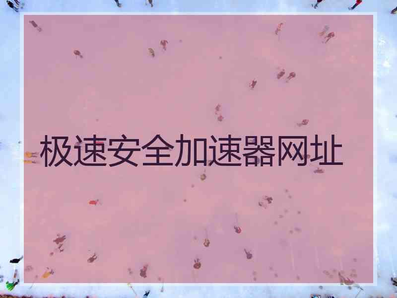 极速安全加速器网址
