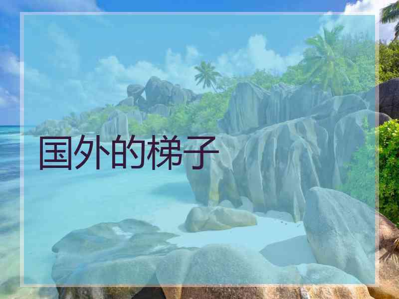 国外的梯子