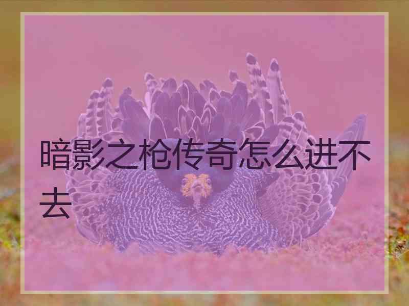 暗影之枪传奇怎么进不去