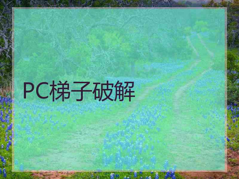 PC梯子破解