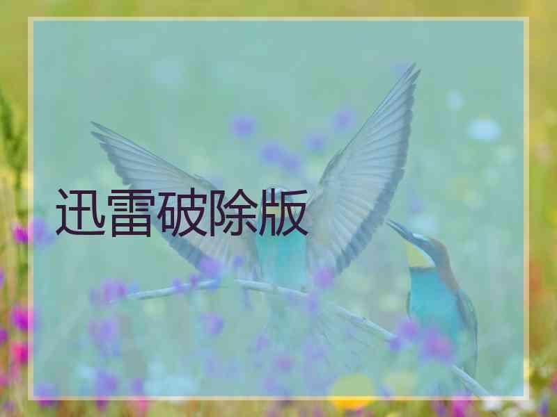 迅雷破除版