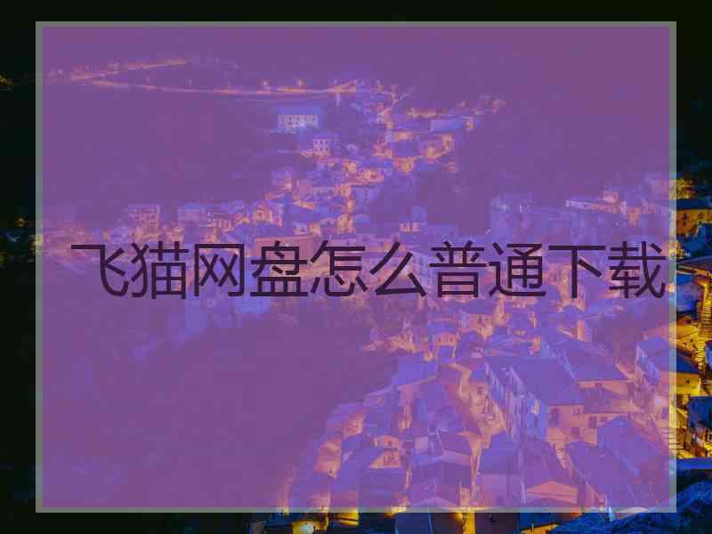 飞猫网盘怎么普通下载