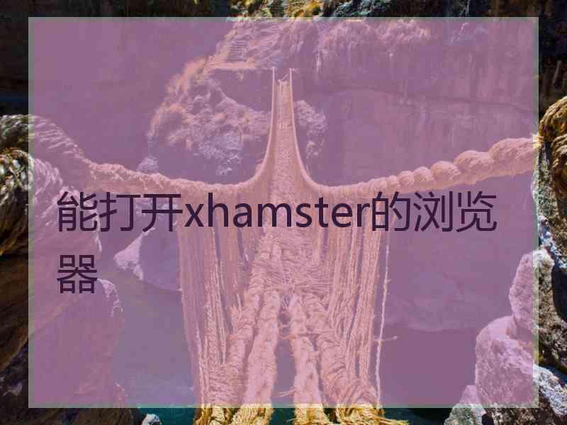 能打开xhamster的浏览器