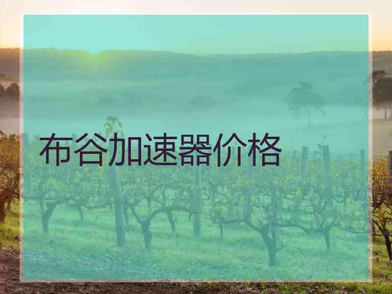 布谷加速器价格
