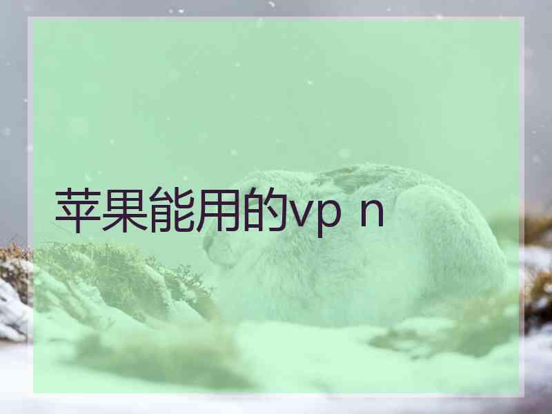 苹果能用的vp n