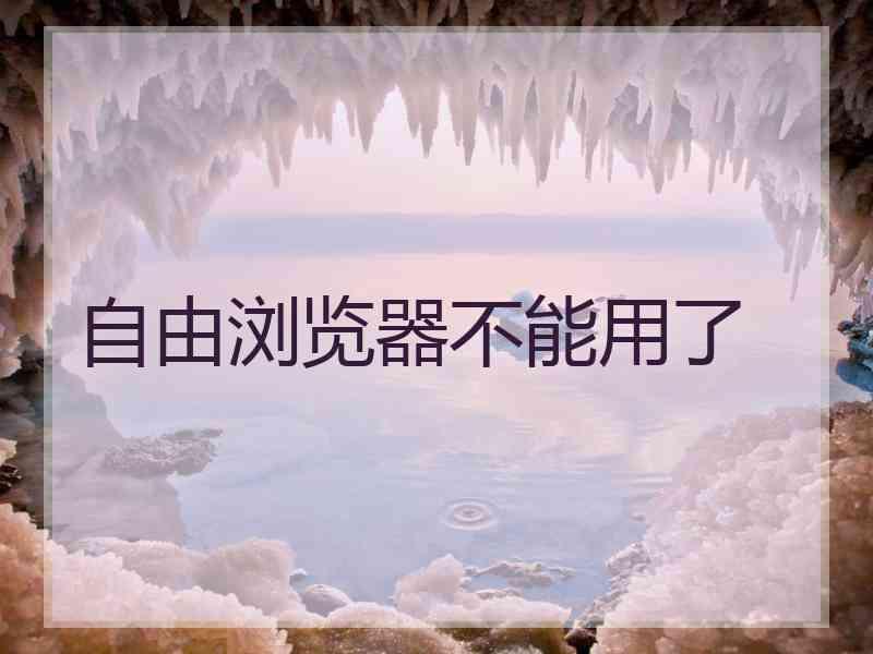 自由浏览器不能用了