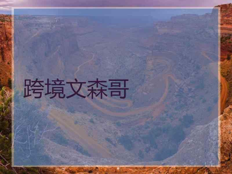 跨境文森哥