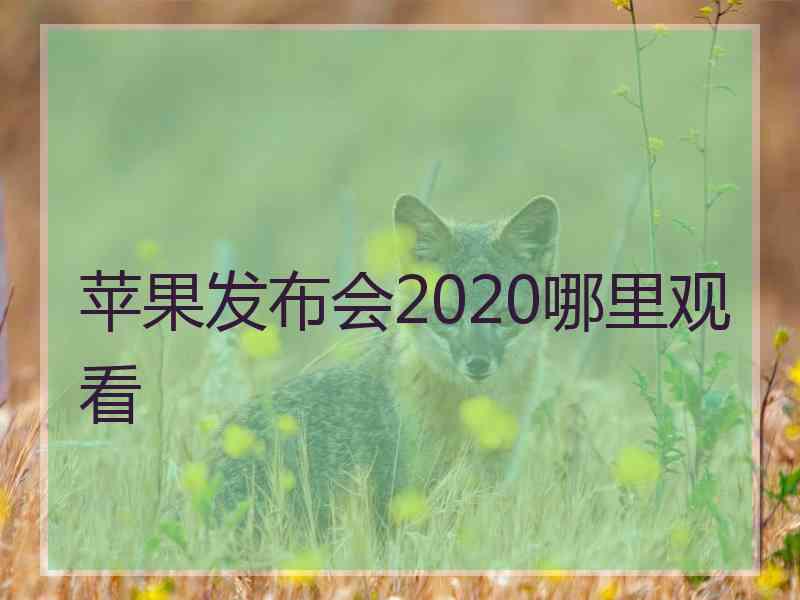 苹果发布会2020哪里观看