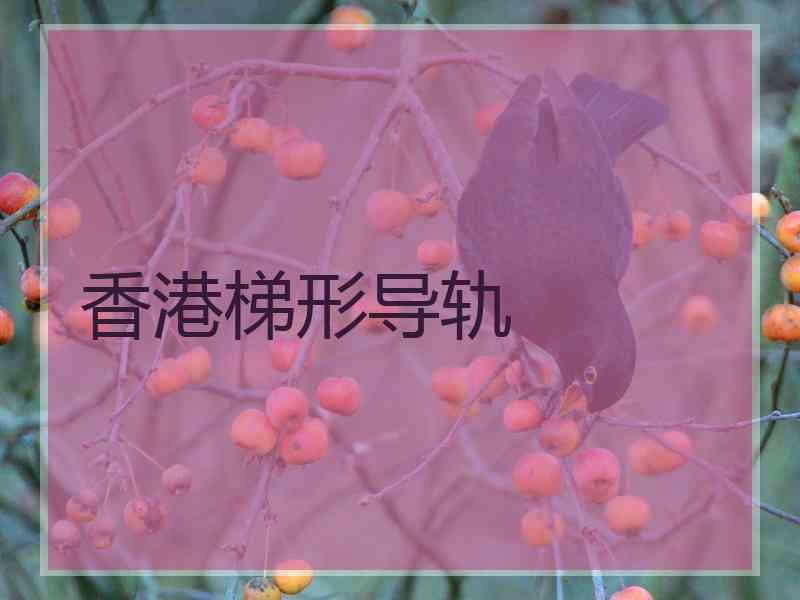 香港梯形导轨