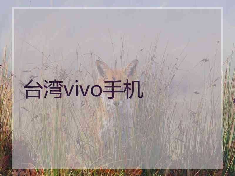 台湾vivo手机